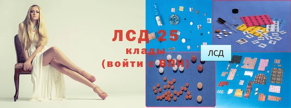 СК Богородск