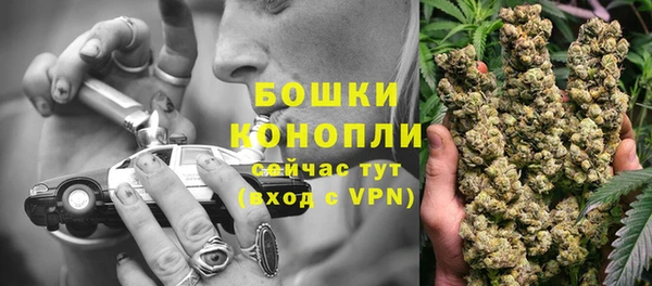 СК Богородск