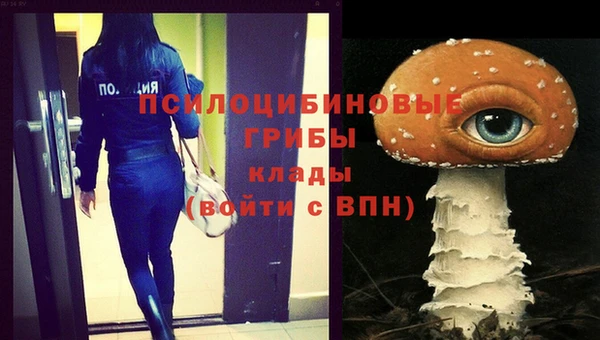 COCAINE Богданович
