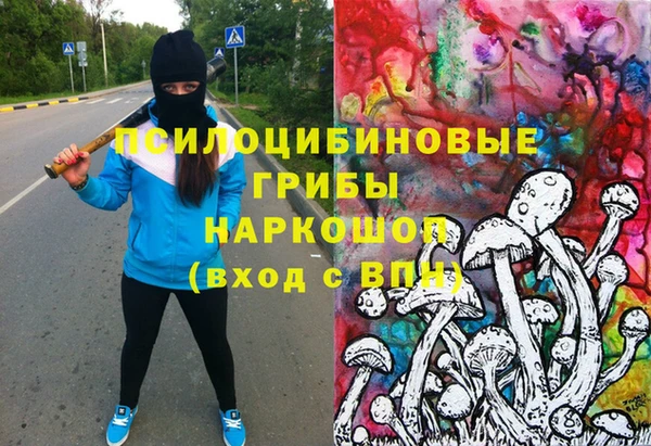 индика Сосновка