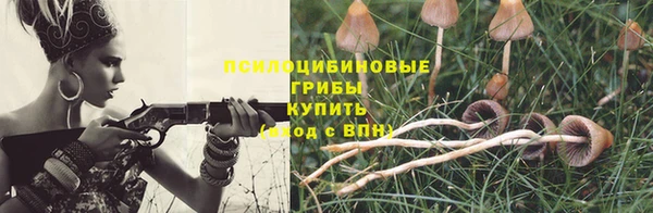 спайс Богородицк