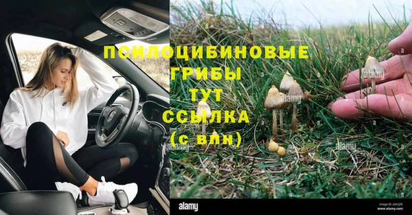 COCAINE Богданович