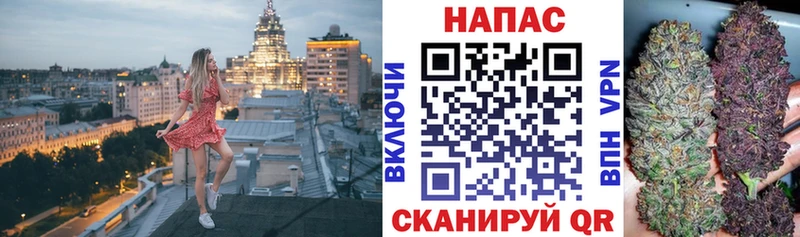 Каннабис планчик  наркота  Волчанск 